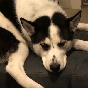 Meet your Posher, Heidi